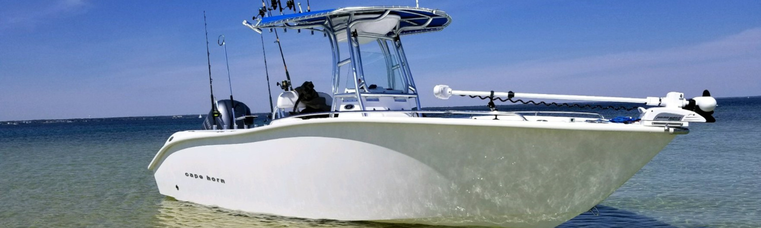 2025 Cape Horn 22OS for sale in PYY Marine, Pasadena, Maryland
